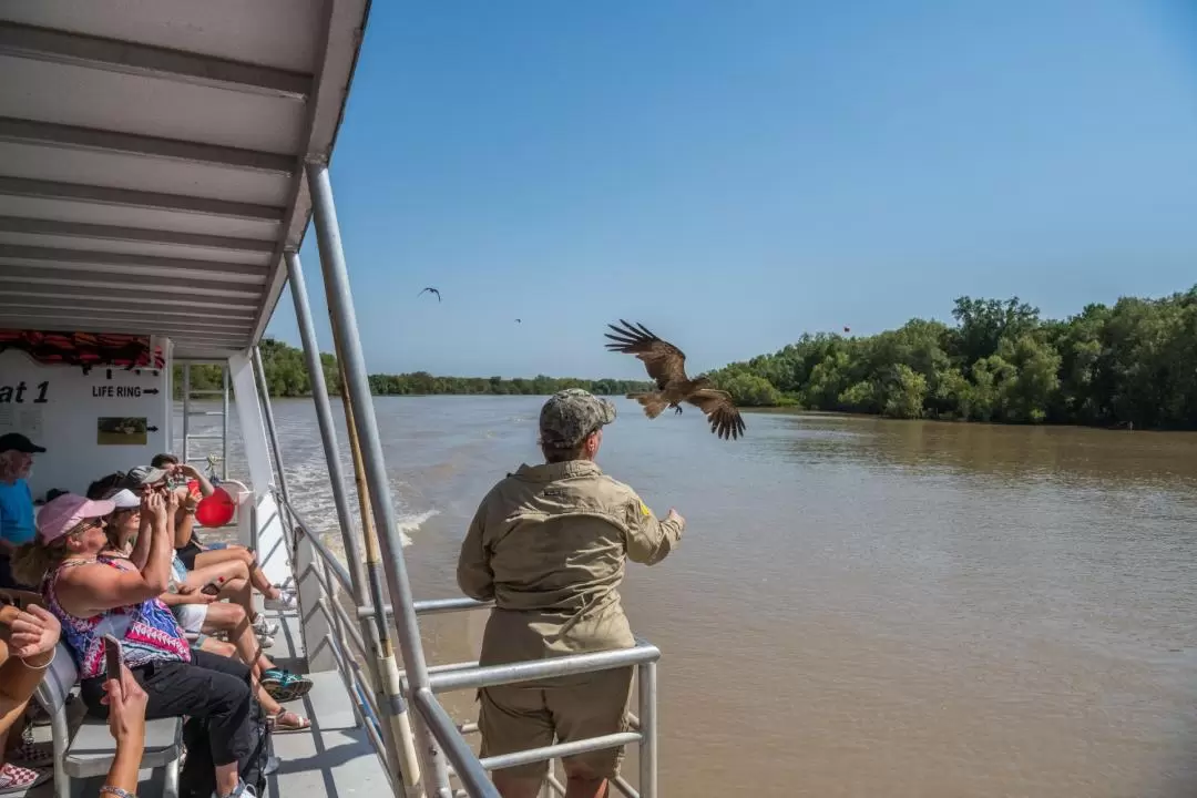 1-Hour Jumping Crocodile Cruise on the Adelaide River