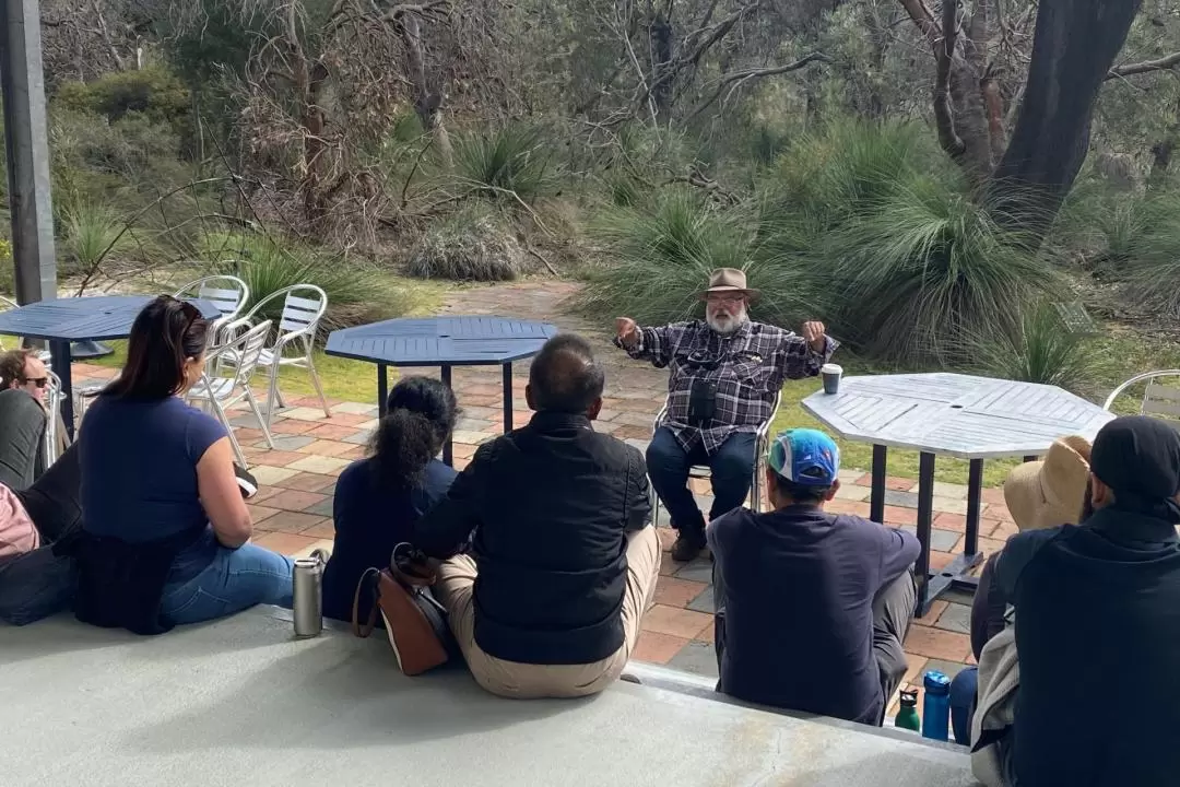 Aboriginal Astronomy Night Admission in Gingin