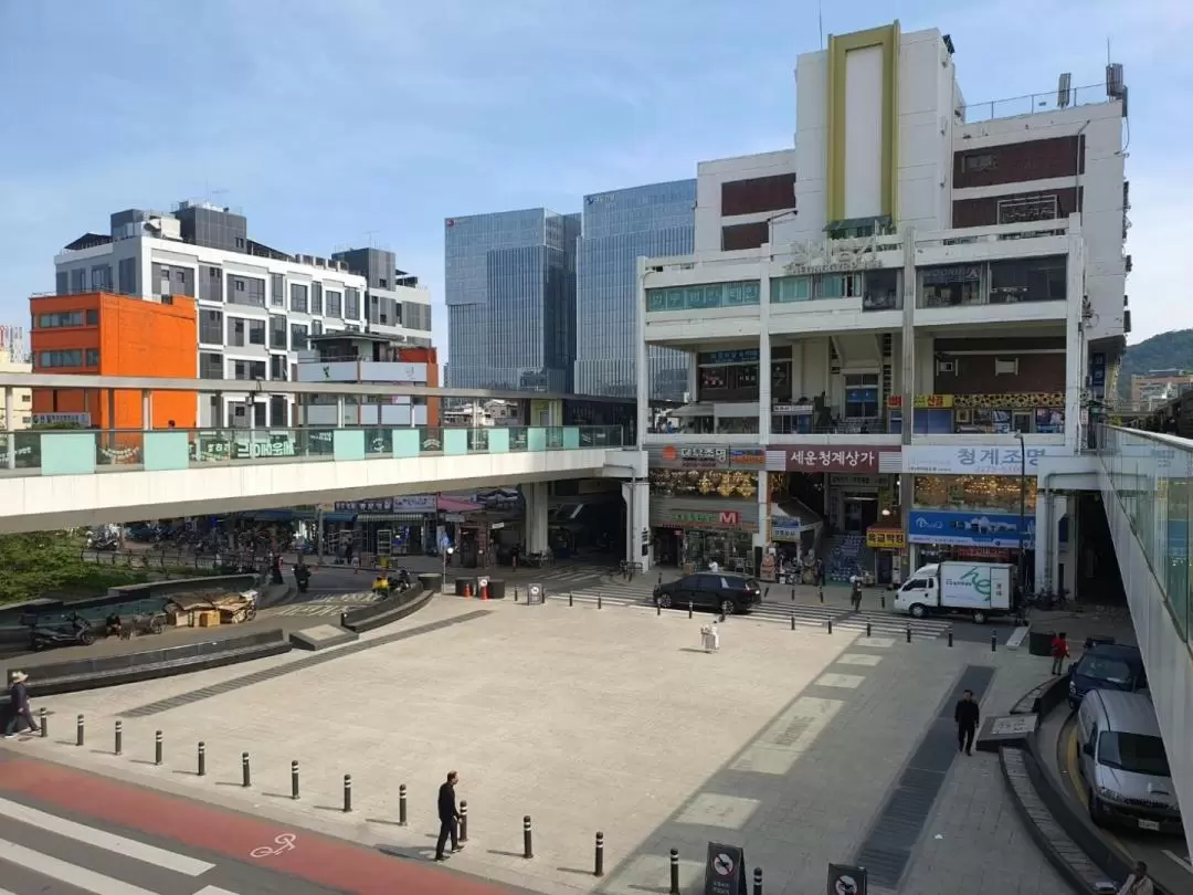 Eastern Seoul Tour: Yak Ryeong Market Gwangjang Market