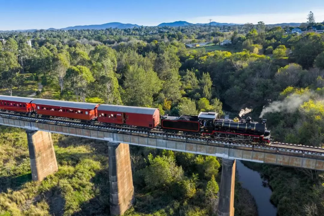 Mary Valley Rattler Train Experience from Gympie