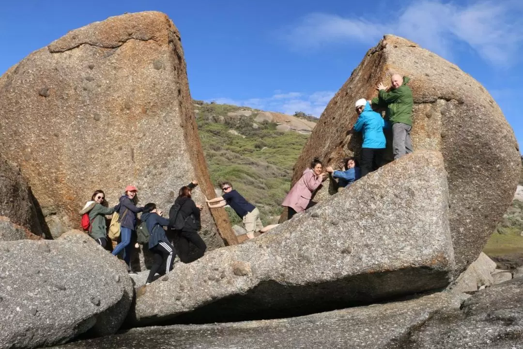 Wilsons Promontory National Park Guided Day Tour from Melbourne