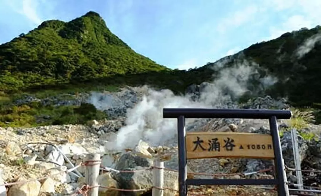 Hakone & Fuji Cruise & Cable Car & Owakudani Day Tour from Tokyo