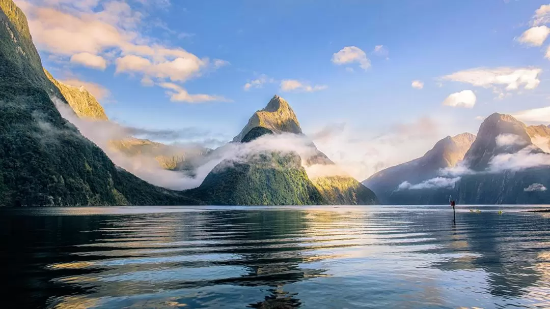 Premium Milford Sound Small Group Tour from Queenstown or Te Anau