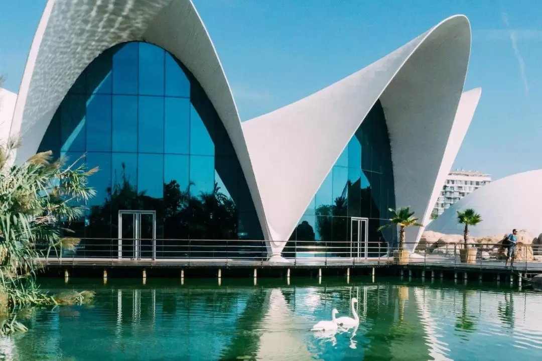 Oceanografic Aquarium Admission in Valencia