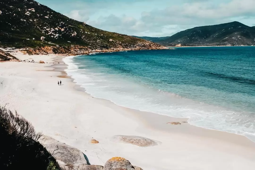 Wilsons Promontory Hiking Day Tour