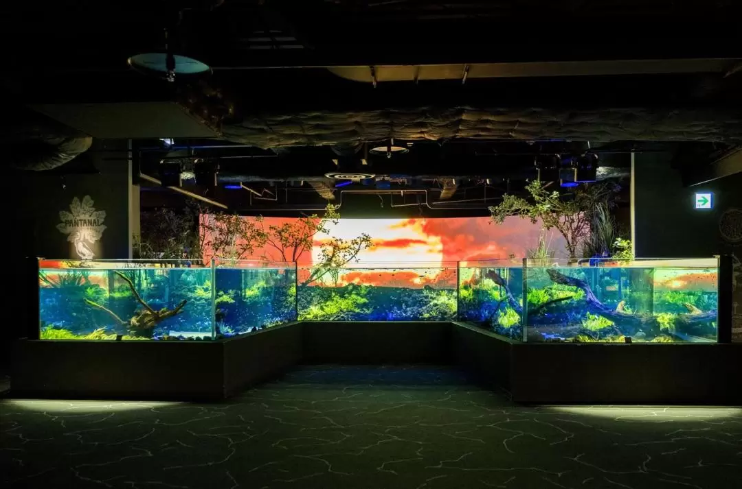 Kawasui Kawasaki Aquarium Admission in Kanagawa