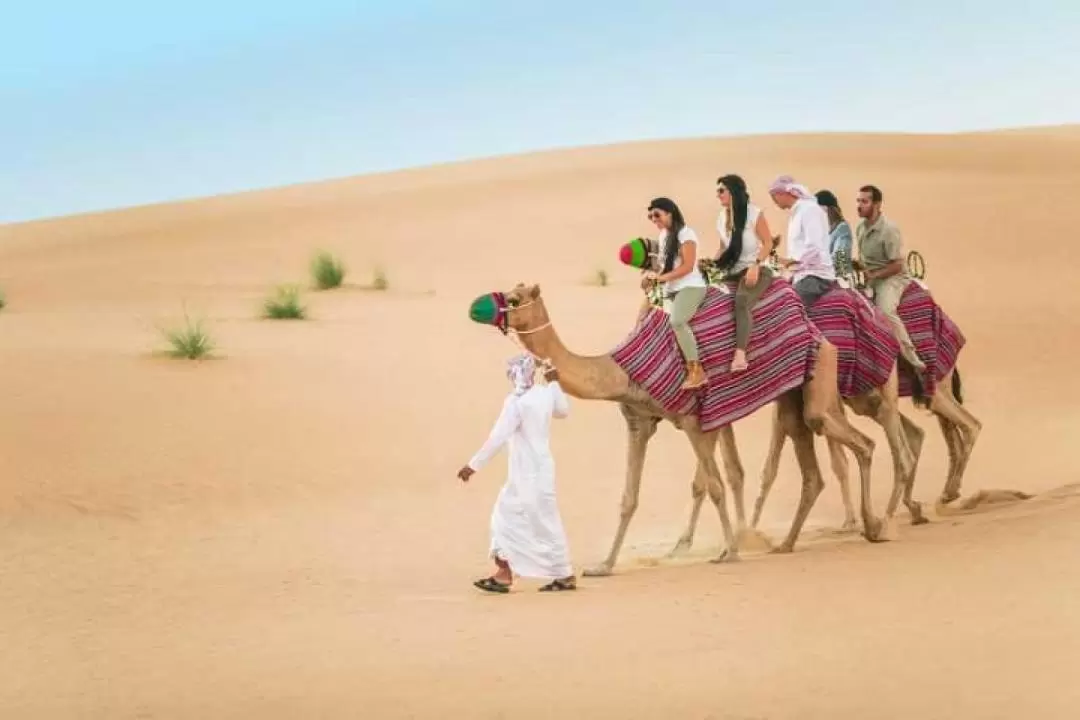 Deluxe Desert Safari Experience in Dubai