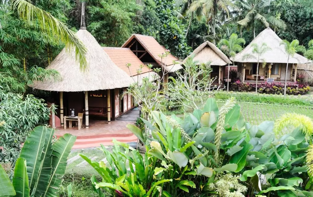 Yoga Experience at The Yoga Barn and Food Tour in Ubud