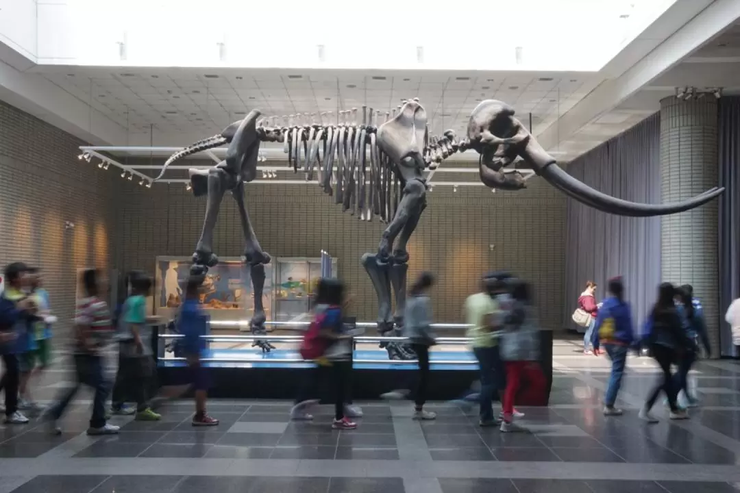 台中國立自然科學博物館門票