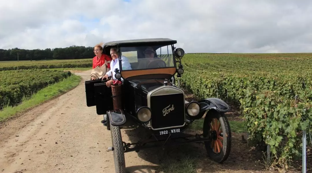 Cellar Visits & Champagne Tastings Day Tour 