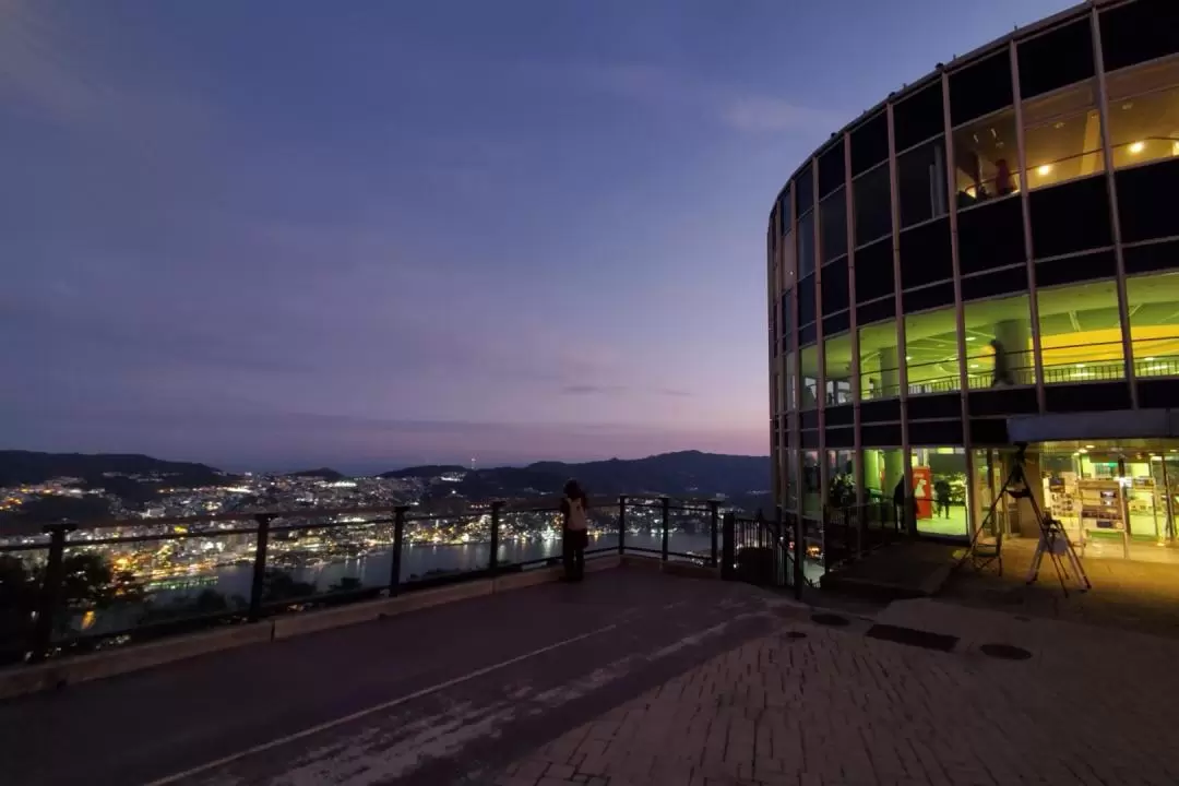 Mt. Inasa Night View Tour from Nagasaki