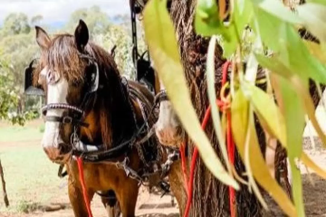 Harvest the Hunter Wine and Produce 3-Hour Tour