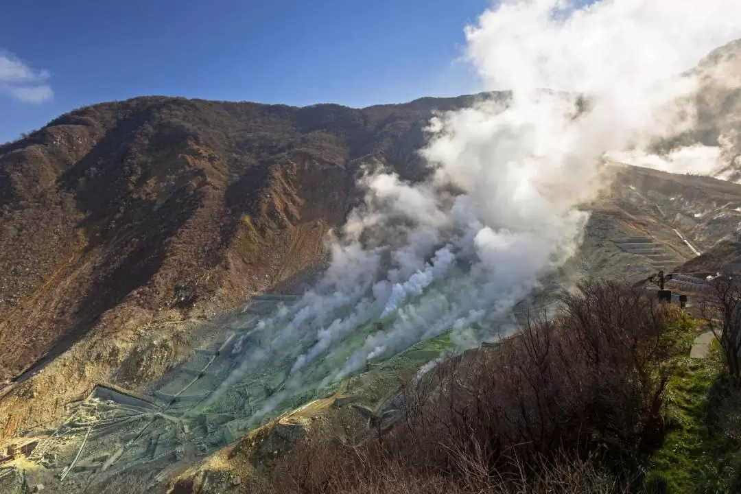 Hakone Shrine & Lake Ashi & Owakudani Private Car Tour 