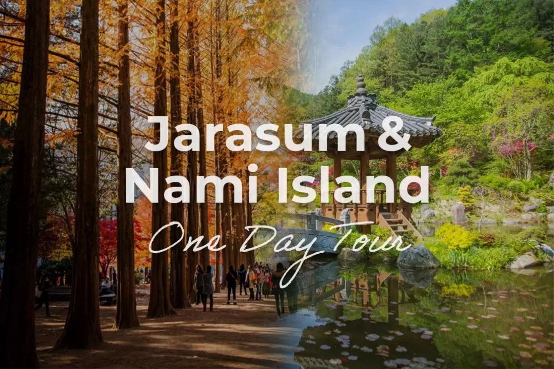 Nami Island & Gangchon Railbike & Morning calm 