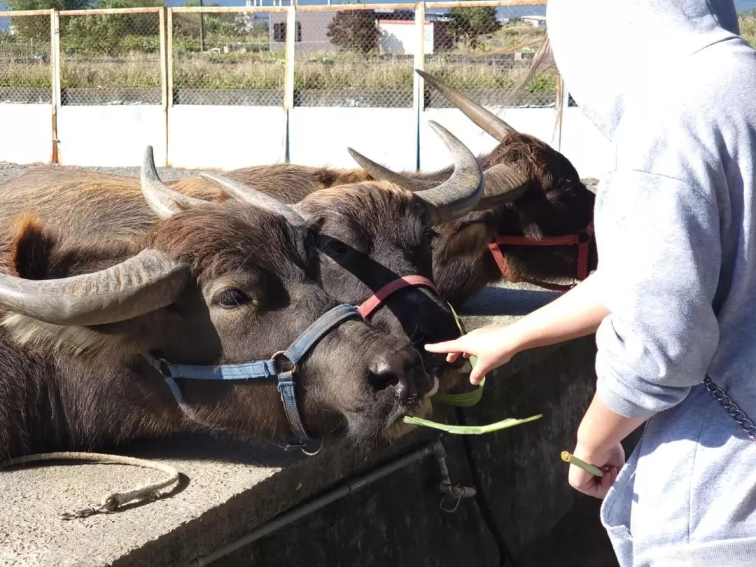 Niutousi Parent-child Farm Ticket in Yilan