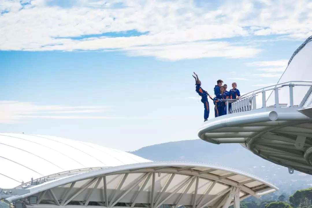 RoofClimb Adelaide Oval Experience