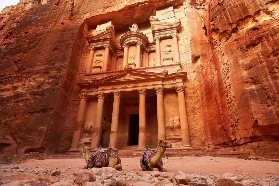 Nabatean Red Rose City of Petra Tour from Wadi Rum