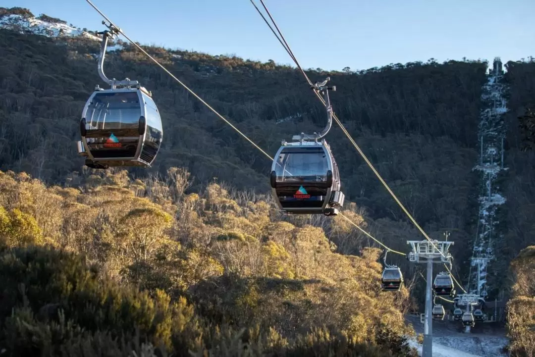 Thredbo & Perisher一日游（堪培拉出发）