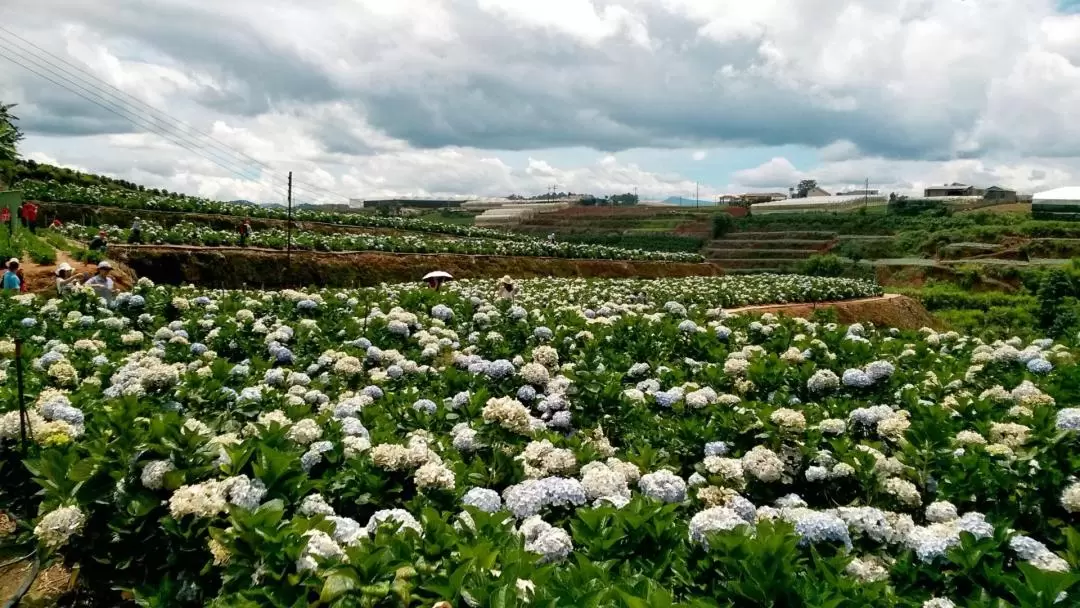 Gardens Day Tour From Da Lat 