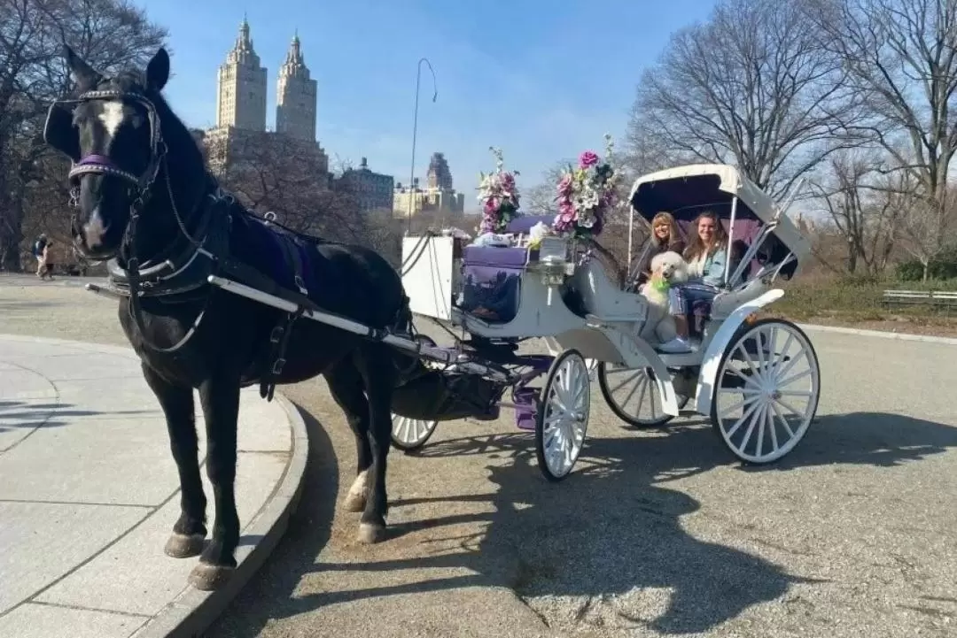 中央公園紐約熱門馬車騎行體驗