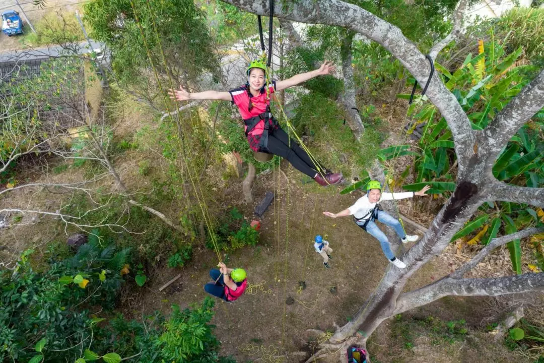 Yunlin: Half-Day Outdoor Activities (Tree Climbing / DIY)