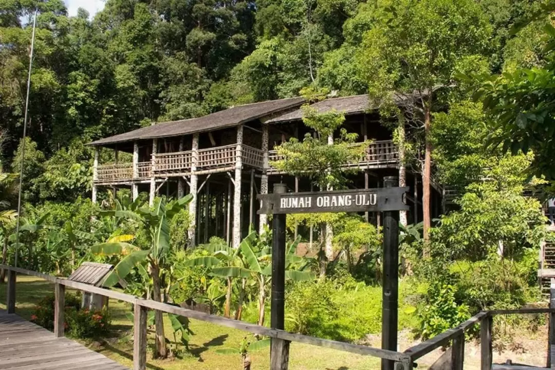 Sarawak Cultural Village and Semenggoh Wildlife Centre Tour in Kuching