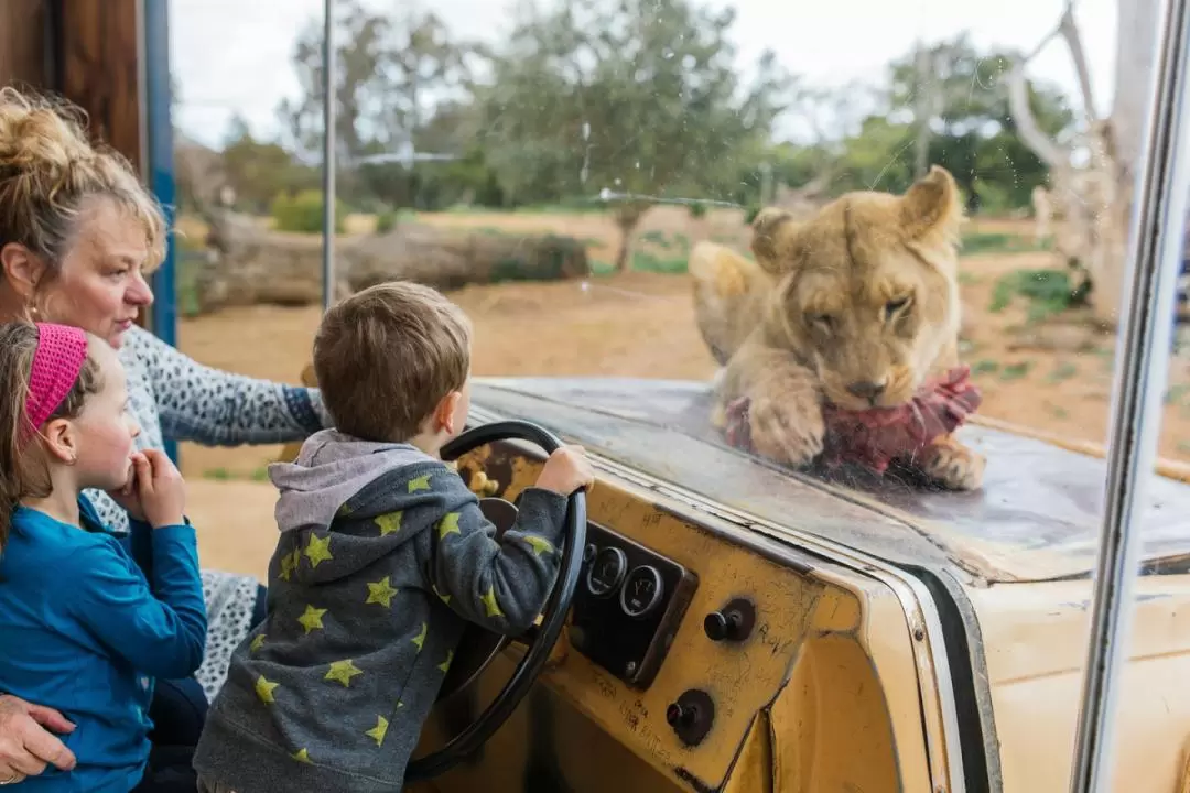 Werribee Zoo Ticket 