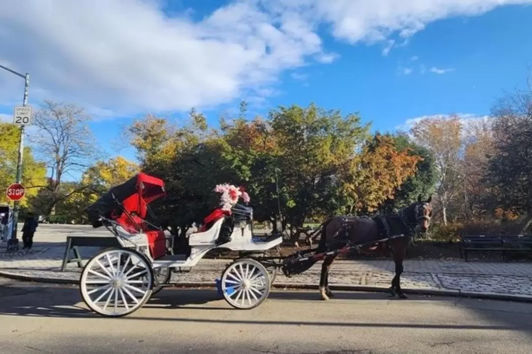 Standard Central Park Horse Carriage Ride Experience in New York