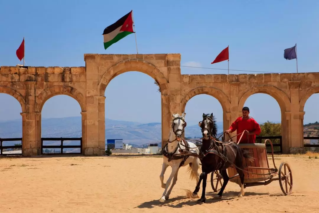 Jerash and Ajloun Day Tour from Dead Sea 