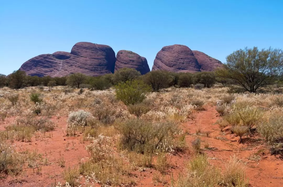 Kata Tjuta Sunrise and Valley of the Winds Guided Tour from Yulara