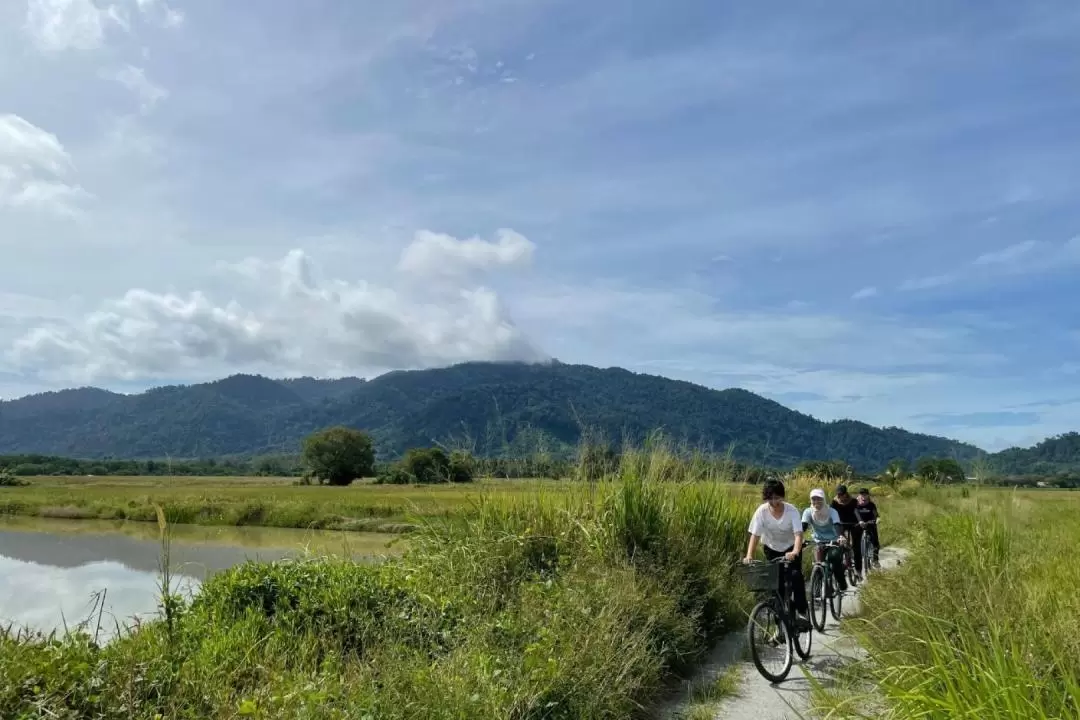 田園地方 サイクリングツアー（ランカウイ）