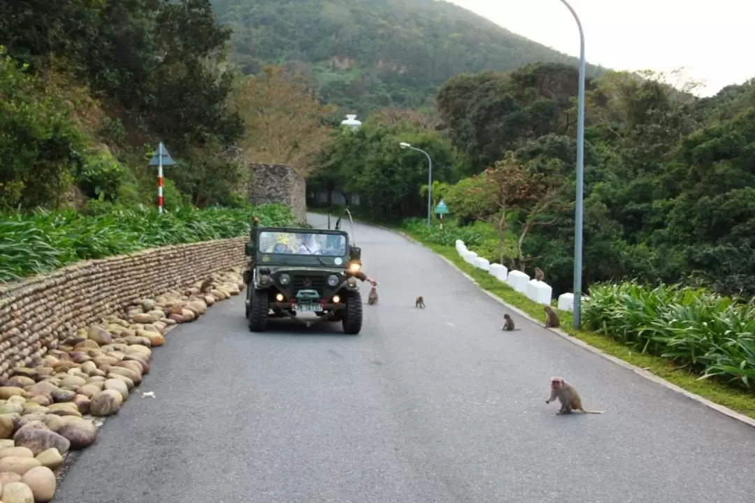 Son Tra Peninsula Private Jeep Tour from Da Nang