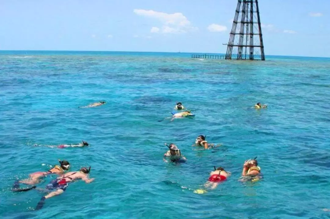 Reef & Ritas Snorkeling Experience in Key West