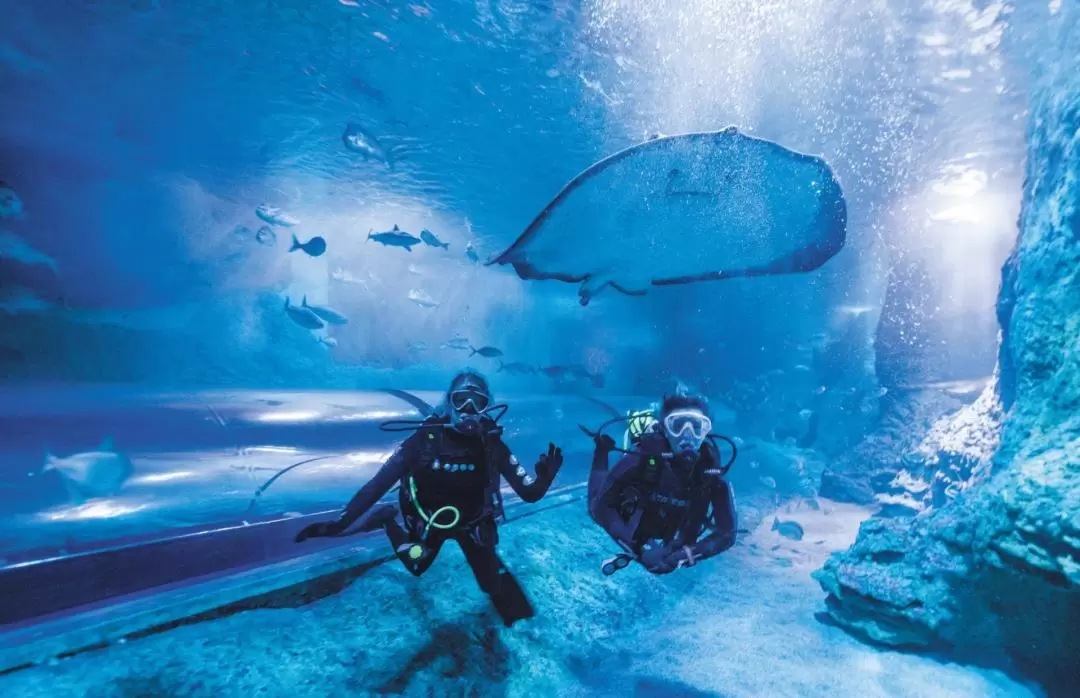 珀斯西澳洲AQWA水族館門票