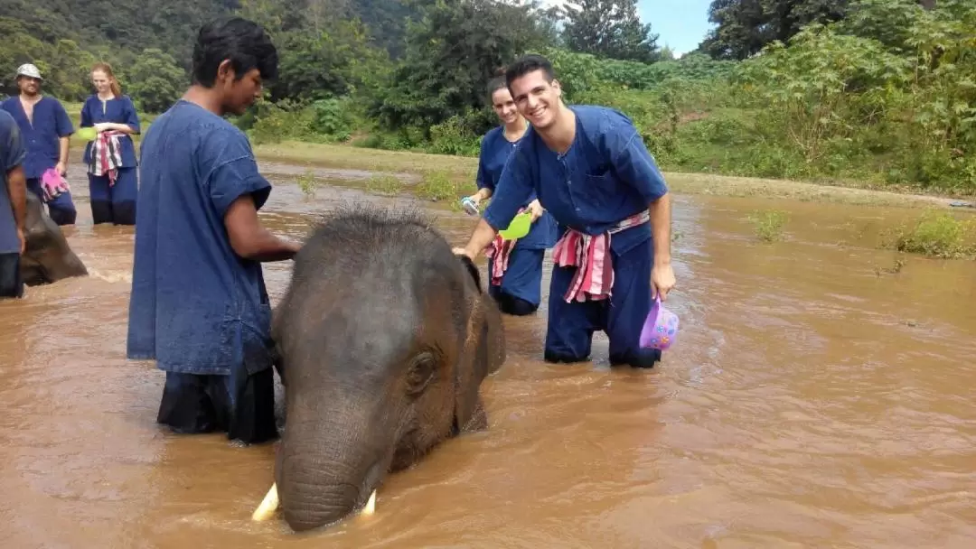 Elephant Sanctuary with Trekking, ATV, Zipline, and Rafting Adventure in Chiang Mai