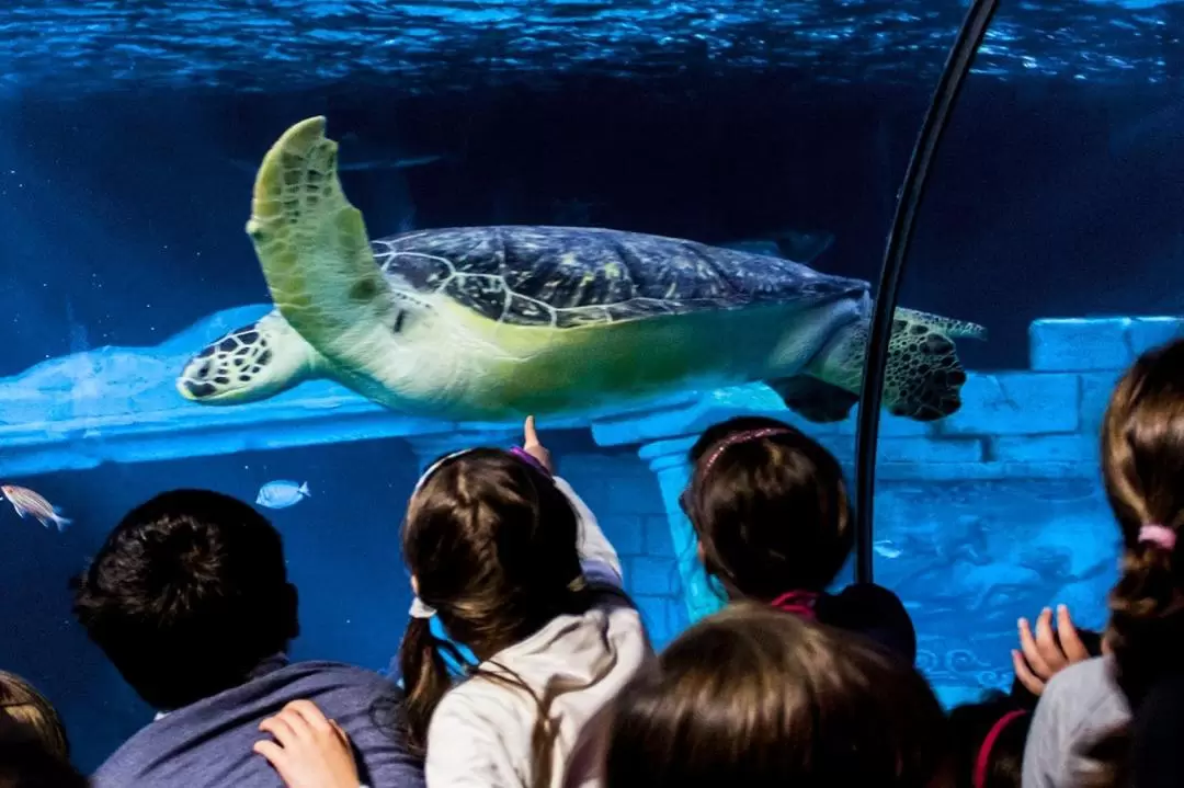 波爾圖海洋生物館門票