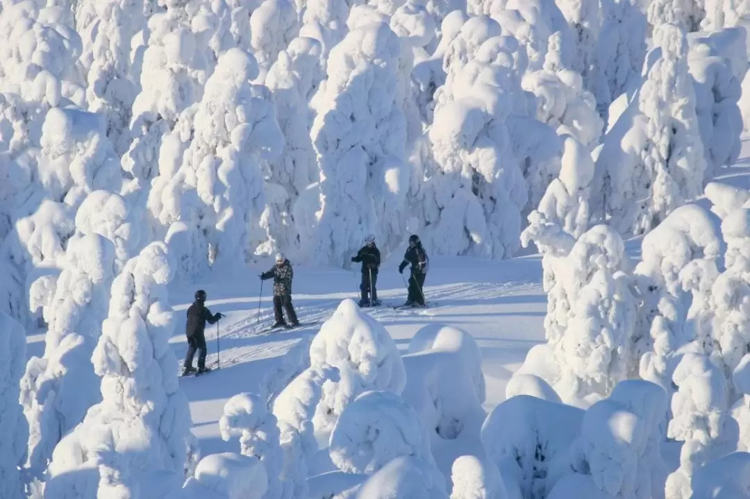 Lapland Wellness and Relaxation Tour in Rovaniemi