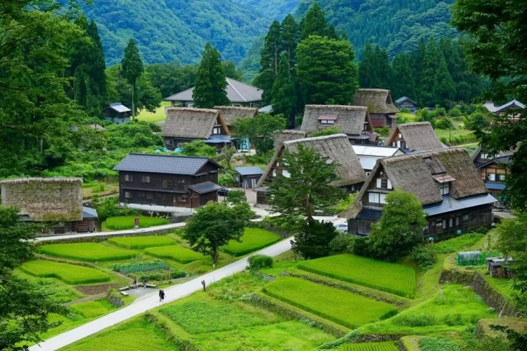 金澤 & 白川鄉 & 五箇山 & 高山2天1夜遊（大阪出發）