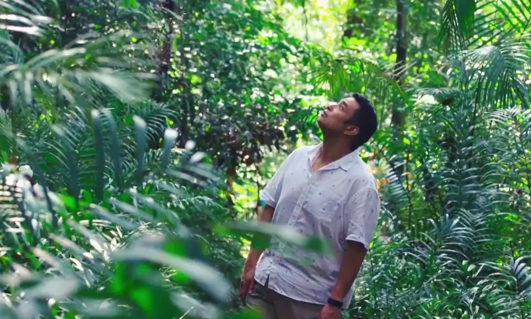 Forest Bathing & High Tea: An Afternoon of Private Indulgence