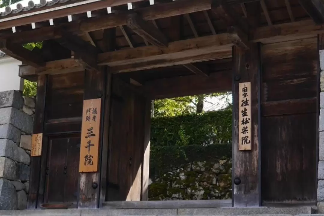 Sanzen-in Temple and Arashiyama One Day Tour from Osaka / Kyoto