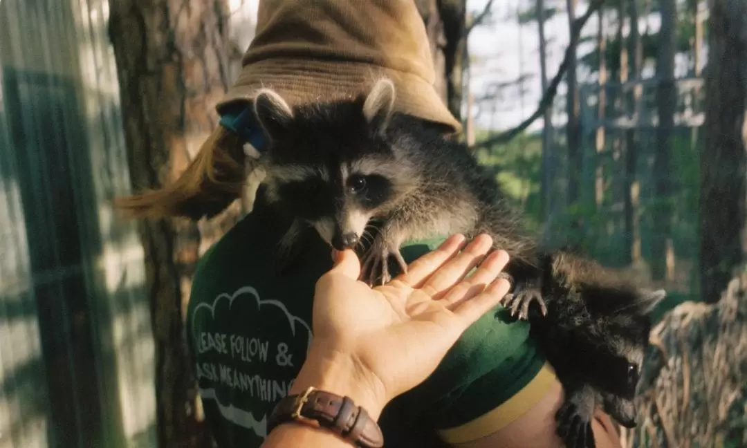 ズードゥー 入園チケット（ダラット）