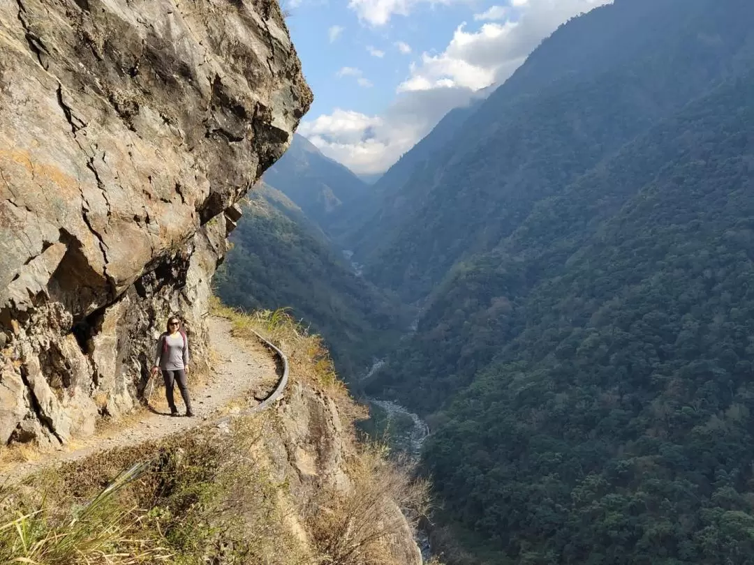 南投｜八通關古道＆特富野古道登山2天1夜體驗