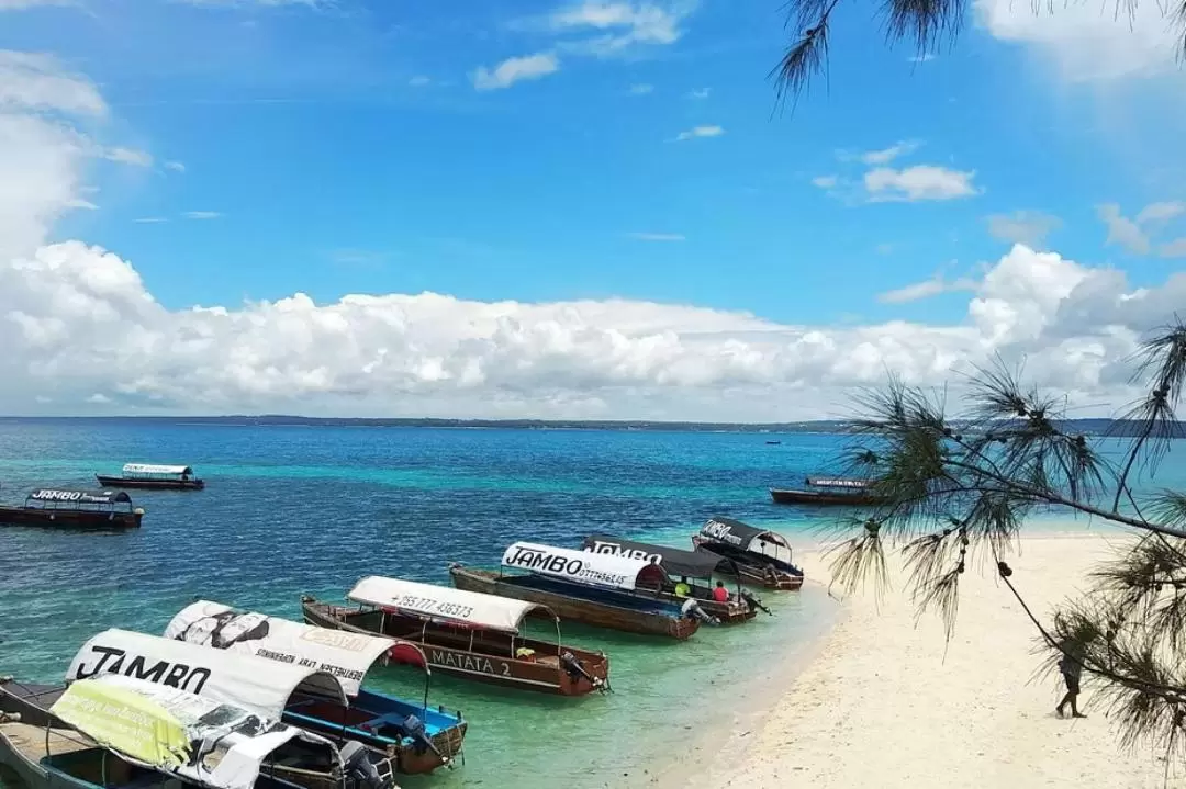 Prison Island Guided Tour in Zanzibar