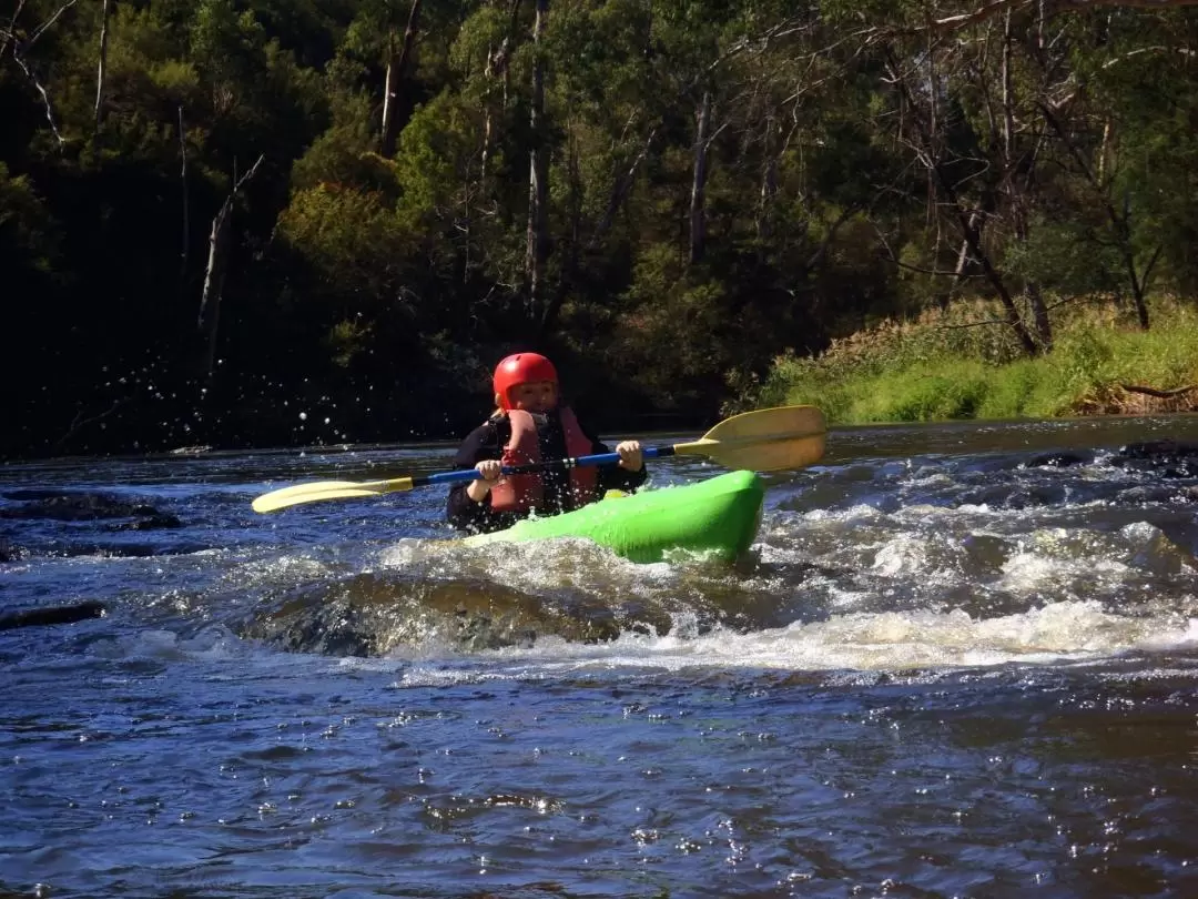 Yarra River White Water Kayaking & Abseiling in Warrandyte