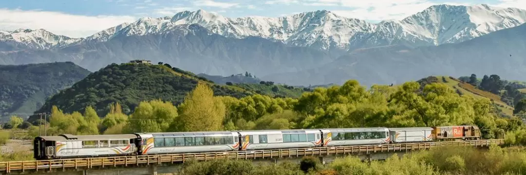 Coastal Pacific Train Ticket Between Christchurch and Picton