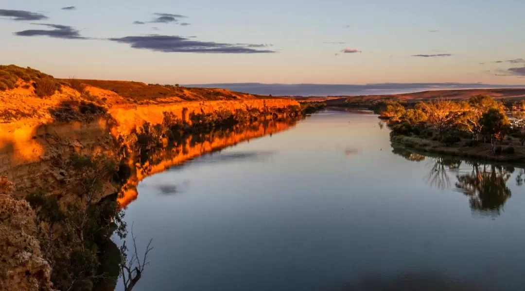 Murray River Highlights Day Tour from Adelaide