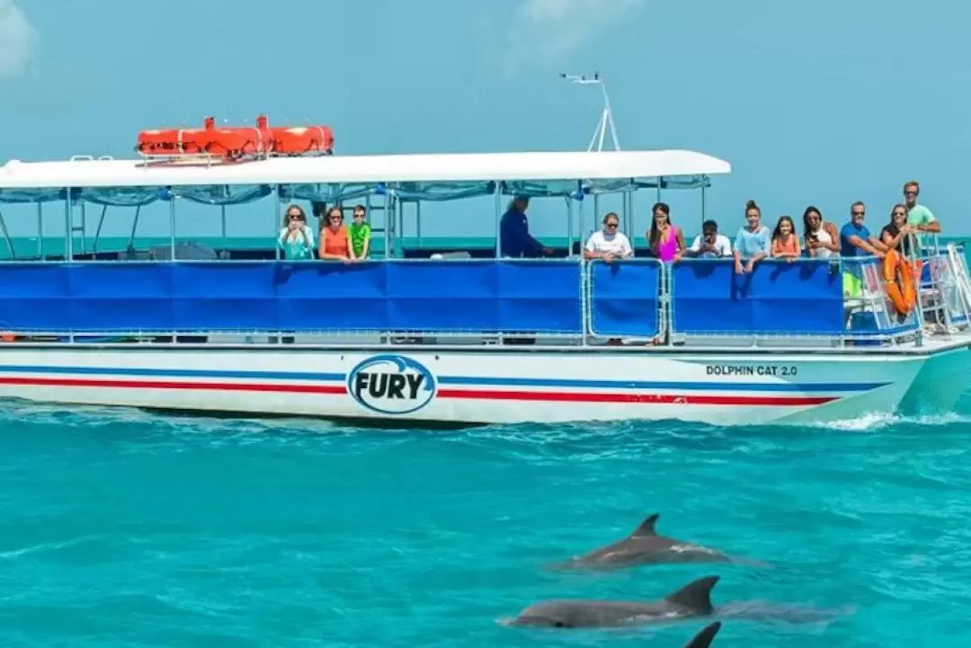 Dolphin Watching and Snorkeling Experience in Key West