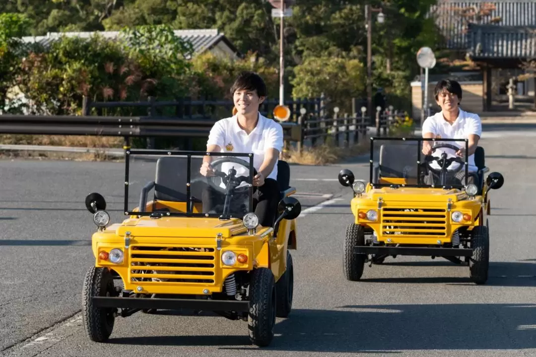 Ikaruga Pagodas Tour with Buggy in Nara