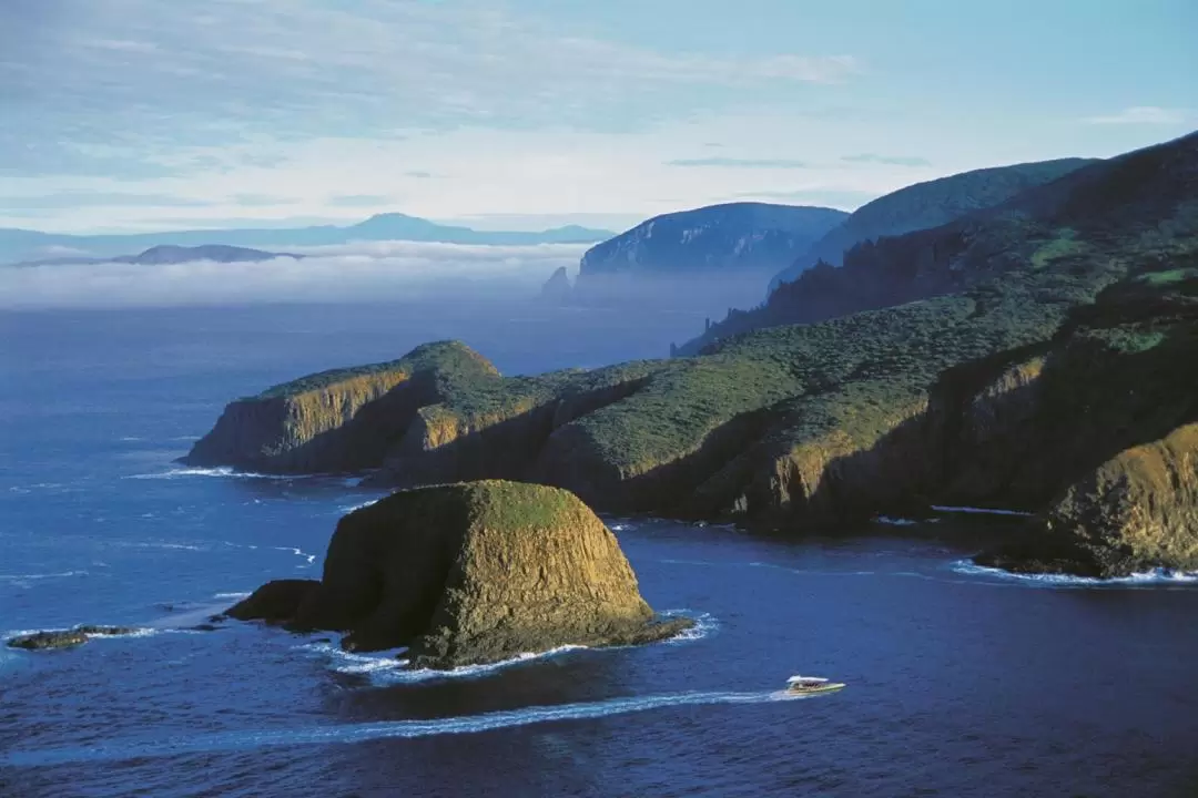 Bruny Island 3-Hour Wilderness Cruise from Hobart