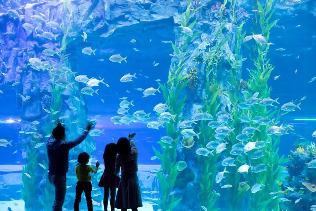 首爾樂天世界水族館門票